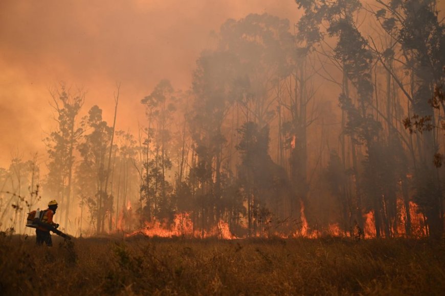 MSP advierte por humo procedente de incendios forestales de la región