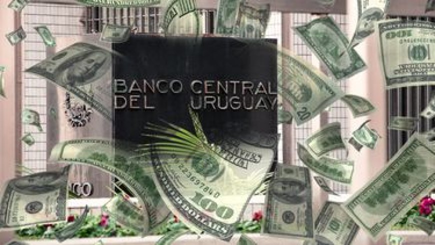 El dólar alcanzó un nuevo máximo en casi dos años y voló sin escalas a la franja de los $ 41