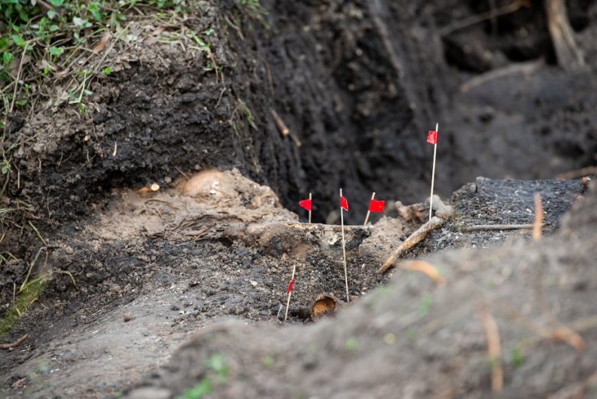 Desaparecidos: este lunes se retoman excavaciones detrás del Batallón 13