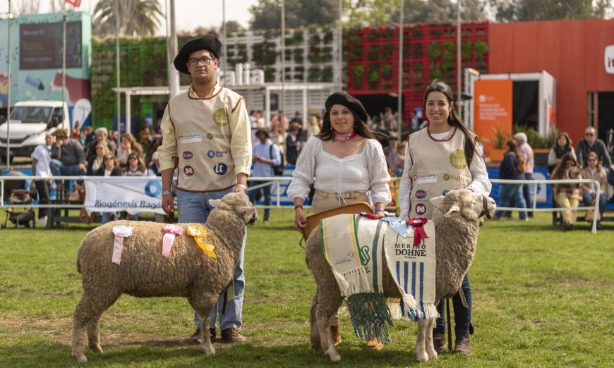 Broche de oro para UTU: con Reservada y Gran Campeona la Escuela Agraria La Carolina dio un gran cierre