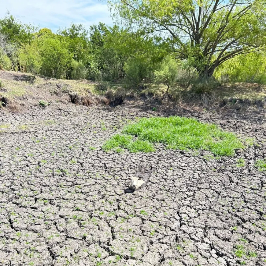 Se acerca La Niña y preocupa una nueva sequía