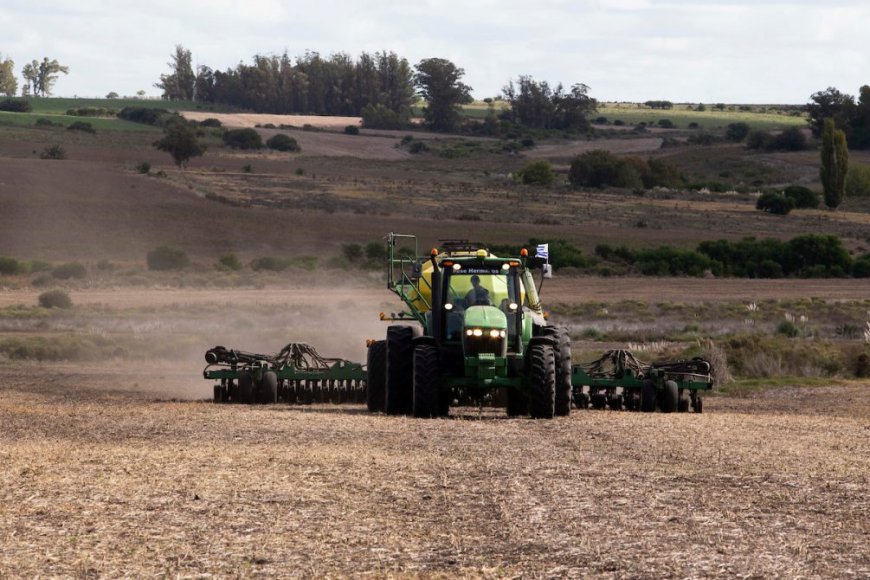 Uruguay cumplirá con la certificación solicitada por UE para carne, soja y celulosa