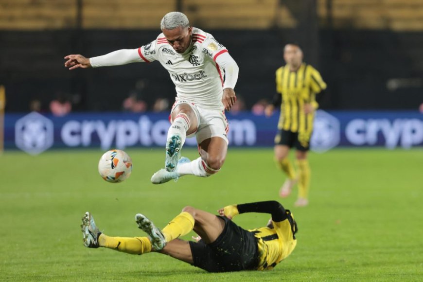 Tres campeones y un novato van por la Libertadores