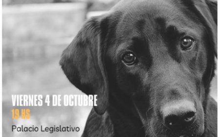 Plataforma Animalista se concentrará frente al Palacio Legislativo