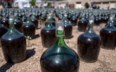 Con buen marco de público se llevó a cabo el fin de semana del Patrimonio