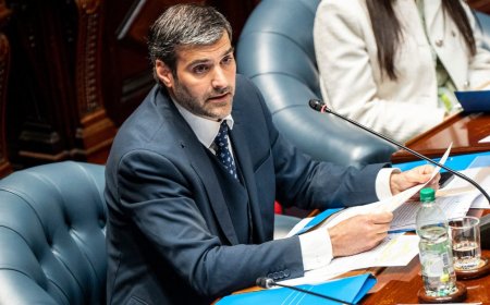 Martinelli: “el Frente Amplio se está interpelando a sí mismo”