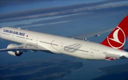 Un piloto de Turkish Airlines en ruta desde Seattle a Estambul muere en pleno vuelo