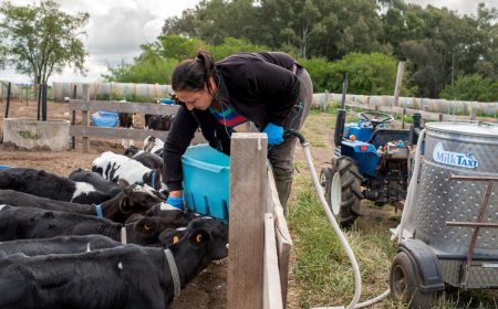 El martes 15 se celebra el Día de la Mujer Rural