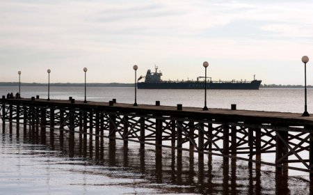 Puerto de Colonia: se inaugura el nuevo muelle y anuncian remodelación de la terminal