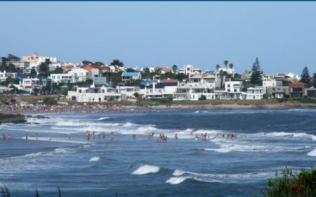 Día de Maldonado con diversas actividades esta semana