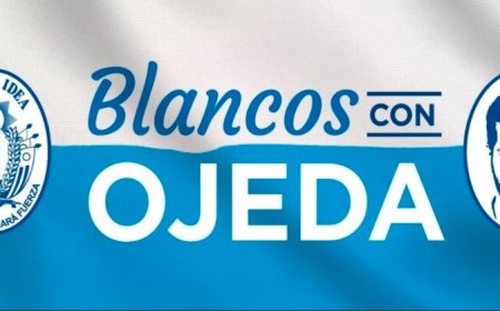 Diputado Radiccioni presentó denuncia por uso de simbología blanca a favor de Ojeda