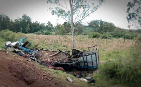 Un camión que transportaba ganado despistó y volcó; su conductor falleció en el lugar