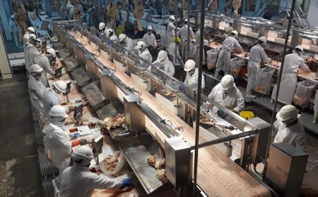 Ochocientos trabajadores del frigorífico BPU ingresaron al seguro de paro