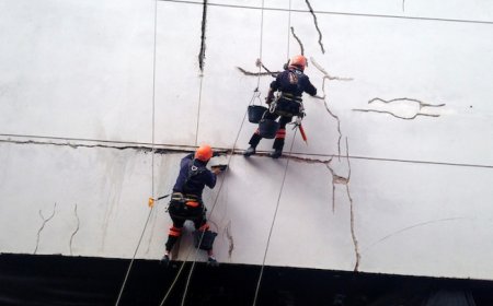 Creció la tasa de empleo y bajo el desempleo en el país