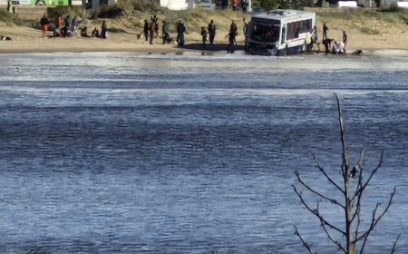 Ómnibus de línea despistó y atravesó vereda de la Rambla Pocitos