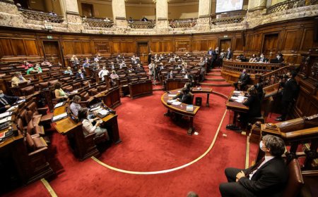 Método D’hondt: la cantidad de diputados que tendrá cada departamento y cómo son asignados