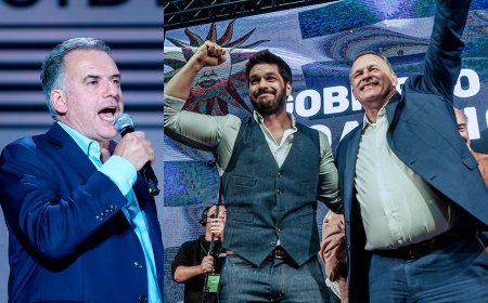 FA alcanzó la mayoría en el Senado mientras que la Cámara de Diputados queda dividida