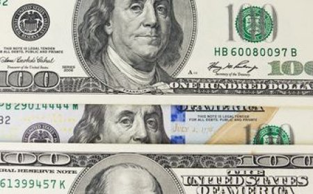 El dólar volvió a ganar terreno hasta la zona media de los $ 41