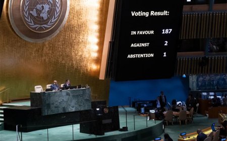 Milei reemplazó a su canciller por votar contra embargo de EEUU a Cuba