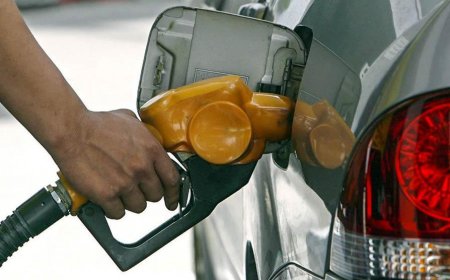 Gobierno mantiene los precios de los combustibles en noviembre