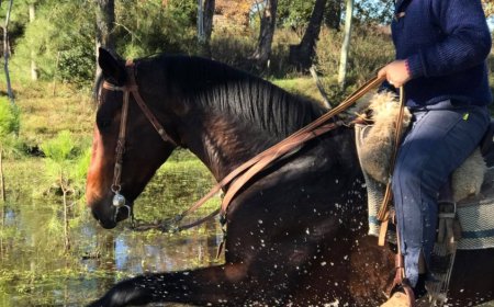 Lucas Sugo sufrió un traumatismo maxilofacial tras recibir una patada de un caballo