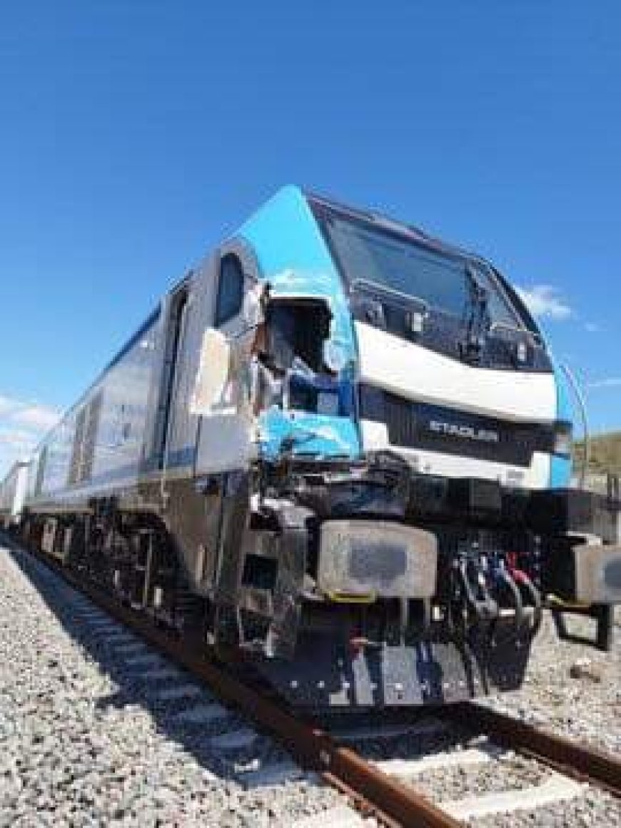 Accidente Ferroviario en Ruta 5 | Conductor Ileso