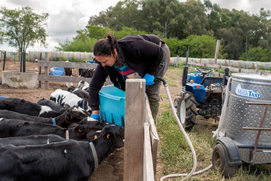 El martes 15 se celebra el Día de la Mujer Rural