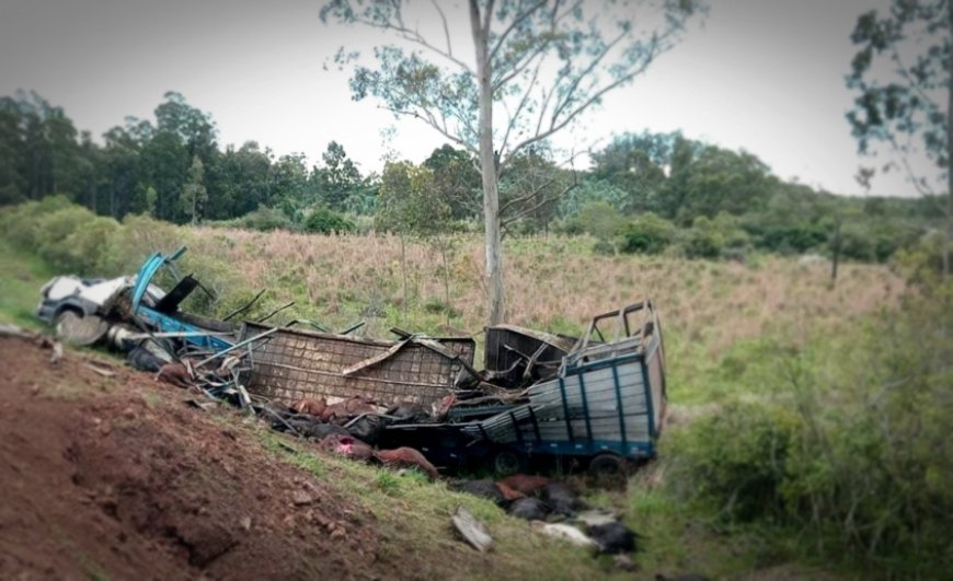 Un camión que transportaba ganado despistó y volcó; su conductor falleció en el lugar