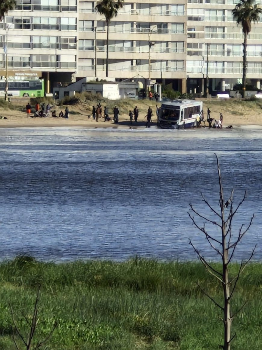 Ómnibus de línea despistó y atravesó vereda de la Rambla Pocitos