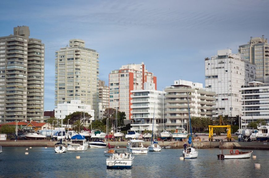 Operadores de Punta del Este auguran una temporada superior a la anterior