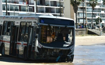 El chofer del ómnibus accidentado en Pocitos declara que no recuerda el incidente