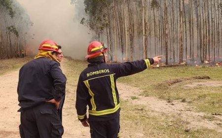 Se lanzó el Plan contra Incendios Forestales; se prohíben los fuegos al aire libre