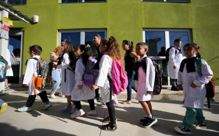 Inicial y Primaria: más de 37.000 alumnos se anotaron por web