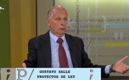 Salle: «Llegamos al Parlamento para dejarlos en evidencia»