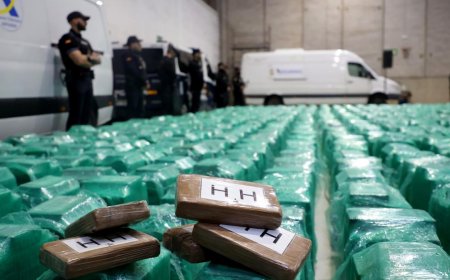 Incautación récord en España: 13 toneladas de cocaína procedentes de Ecuador