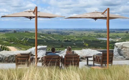 Dos bodegas de Uruguay entre los mejores viñedos del mundo