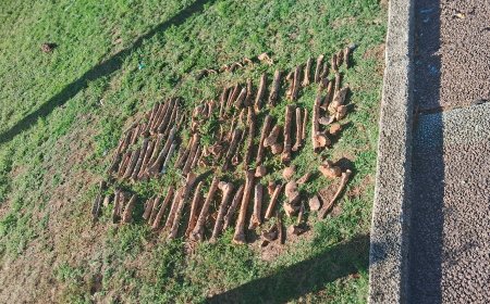 Perciballe sobre restos: «Todo indicaría que se trata de un osario»