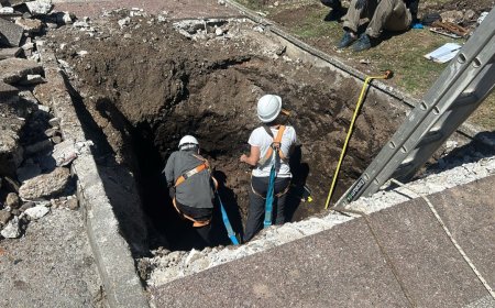 «No hay restos articulados, son paquetes de huesos», indicó Alicia Lusiardo