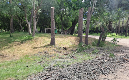 Tareas de acondicionamiento en el Camping 33 Orientales