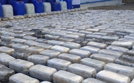 La tonelada de droga incautada tenía como destino Europa y está valuda en 13 millones de euros