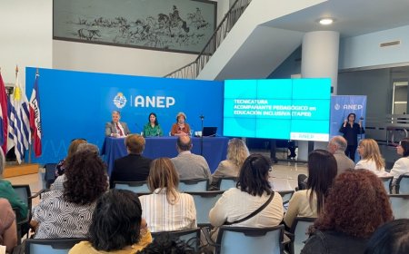 En el 2025 iniciará la tecnicatura en Acompañante Pedagógico en educación inclusiva