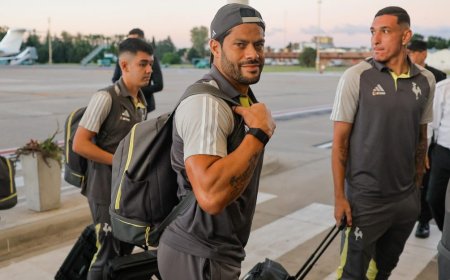 Botafogo y Mineiro ya están en Buenos Aires para jugar la final de la Libertadores
