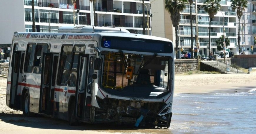 El chofer del ómnibus accidentado en Pocitos declara que no recuerda el incidente