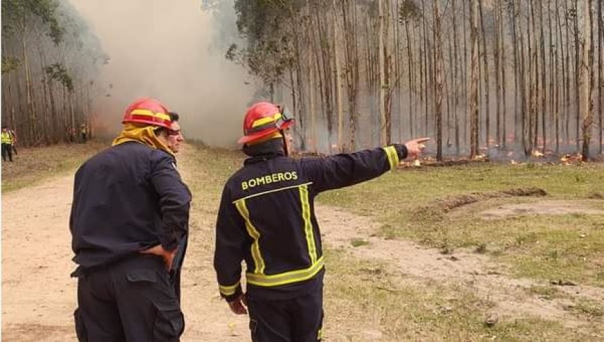 Se lanzó el Plan contra Incendios Forestales; se prohíben los fuegos al aire libre