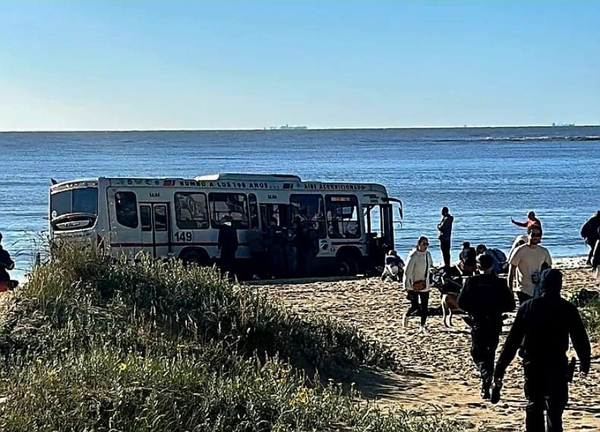 Falleció una pasajera del ómnibus de Cutcsa tras siniestro en Pocitos