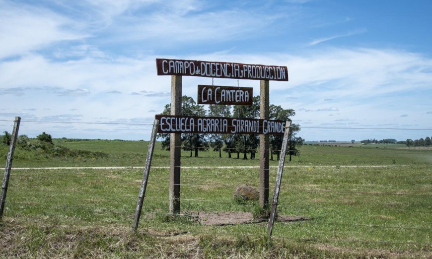 Se inauguró el primer feedlot de UTU en Sarandí Grande