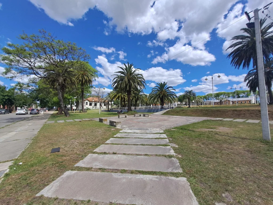 Daños ocasionados en Plaza de calle Morquio