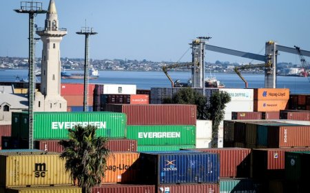 Exportaciones uruguayas crecen 5 % en noviembre, impulsadas por carne, celulosa y lácteos