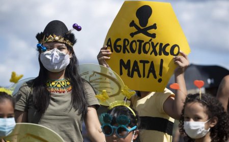 Los casos de contaminación por agrotóxicos aumentaron casi 10 veces en Brasil en un año