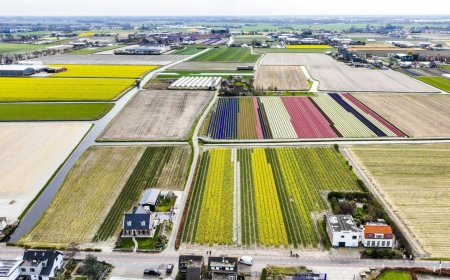 Parlamento neerlandés rechaza acuerdo UE-Mercosur y pide al Gobierno evitar su aprobación